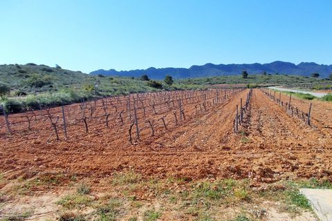 Farm hus i Yecla, Murcia, Yecla - € 410.000 | Ref: SF0064 - foto 20